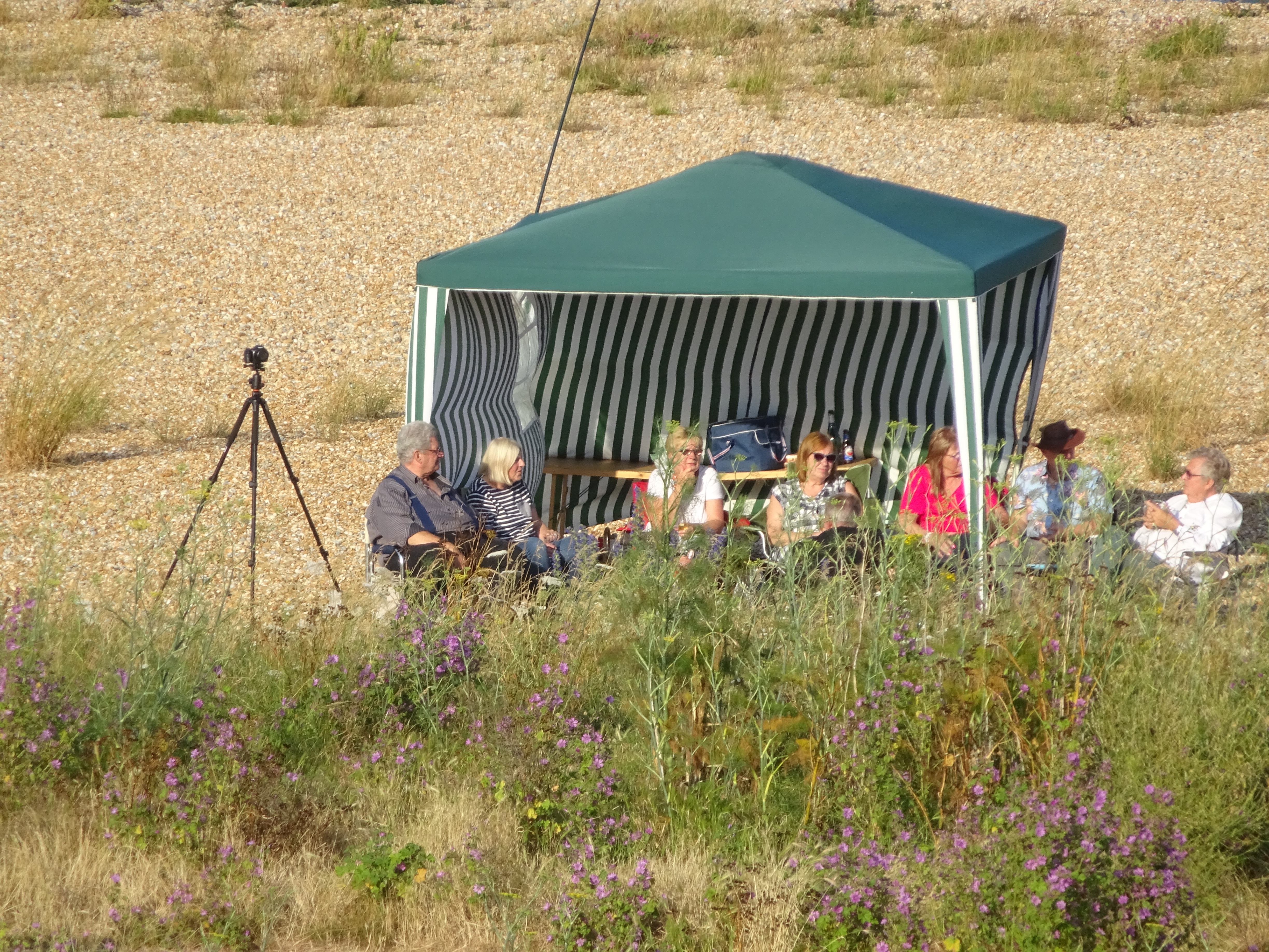 view from Walmer Castle